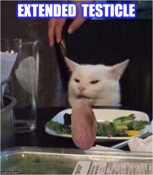 EXTENDED  TESTICLE | made w/ Imgflip meme maker