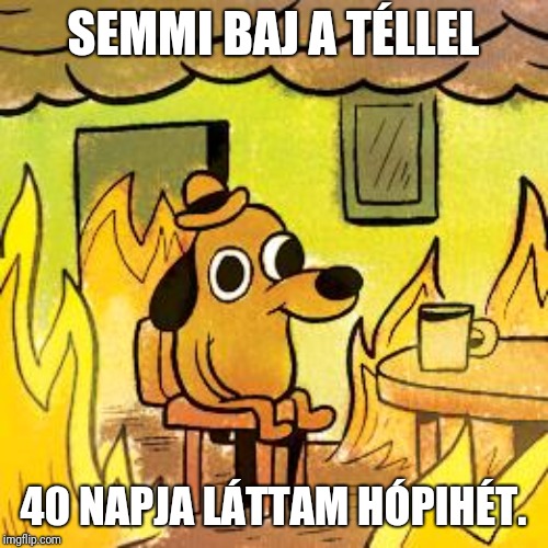 beillesztett kép