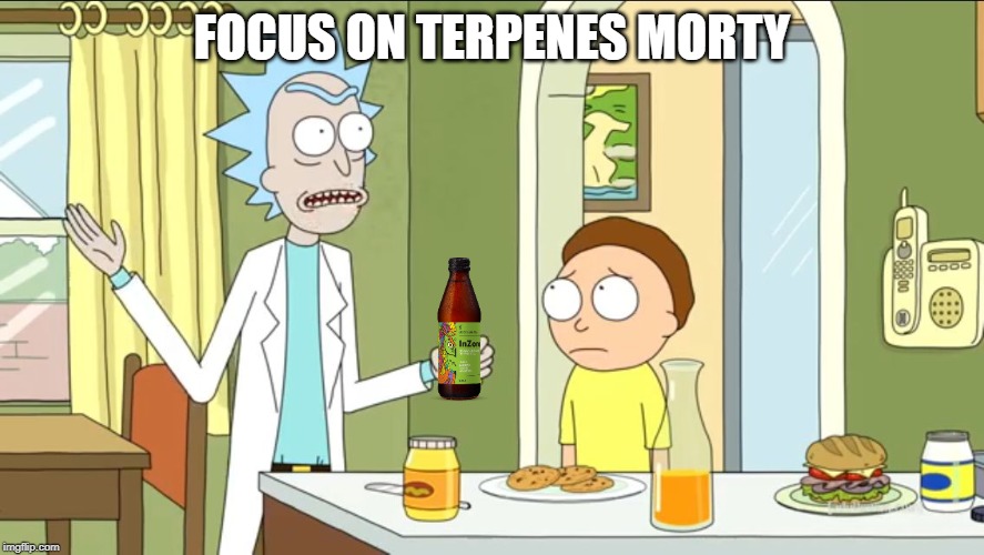 Focus on science | FOCUS ON TERPENES MORTY | image tagged in focus on science | made w/ Imgflip meme maker