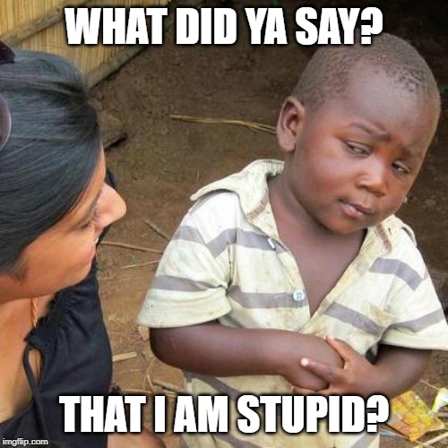 Third World Skeptical Kid Meme | WHAT DID YA SAY? THAT I AM STUPID? | image tagged in memes,third world skeptical kid | made w/ Imgflip meme maker