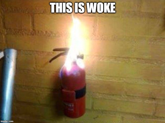 Cheap Fire Extinguisher  | THIS IS WOKE | image tagged in cheap fire extinguisher | made w/ Imgflip meme maker