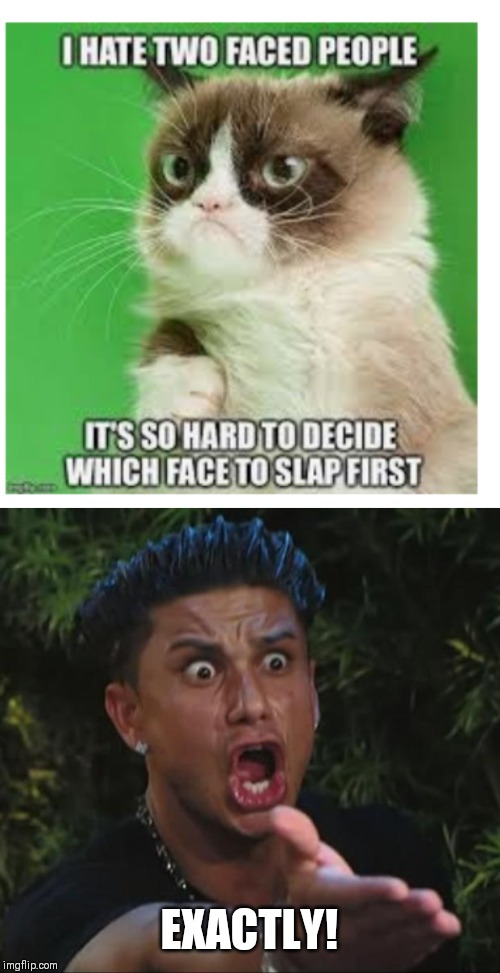 EXACTLY! | image tagged in memes,dj pauly d | made w/ Imgflip meme maker
