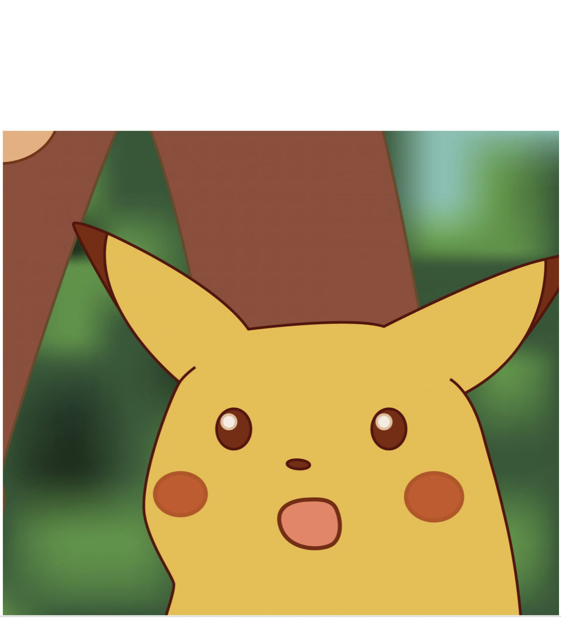 surprised pikacu Blank Meme Template