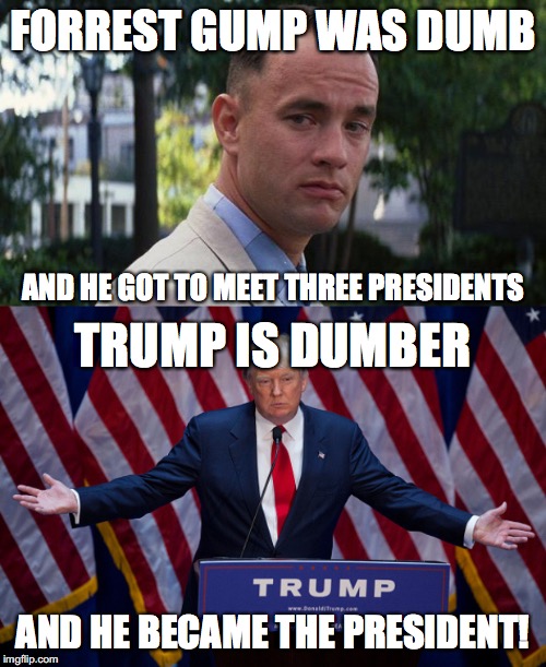 FORREST GUMP WAS DUMB; AND HE GOT TO MEET THREE PRESIDENTS; TRUMP IS DUMBER; AND HE BECAME THE PRESIDENT! | image tagged in forrest gump,donald trump,memes | made w/ Imgflip meme maker