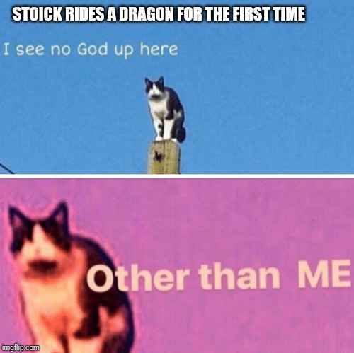 Hail pole cat | STOICK RIDES A DRAGON FOR THE FIRST TIME | image tagged in hail pole cat | made w/ Imgflip meme maker
