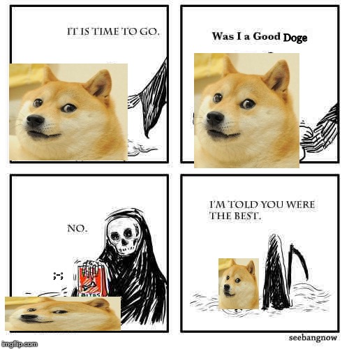 It’s time for you to go | Doge; ;-; | image tagged in its time for you to go | made w/ Imgflip meme maker