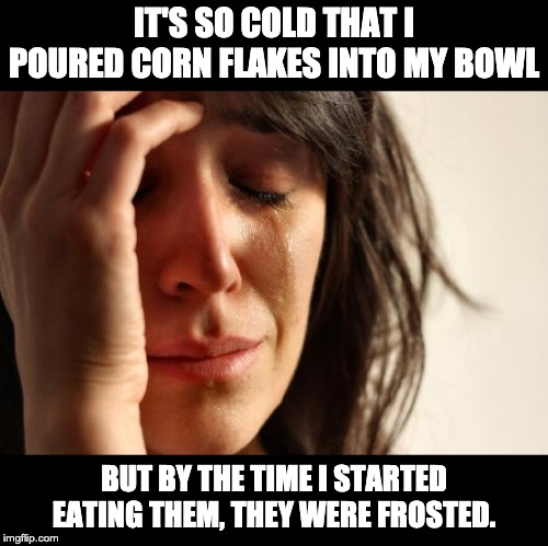 First World Problems Meme | IT'S SO COLD THAT I POURED CORN FLAKES INTO MY BOWL; BUT BY THE TIME I STARTED EATING THEM, THEY WERE FROSTED. | image tagged in memes,first world problems | made w/ Imgflip meme maker