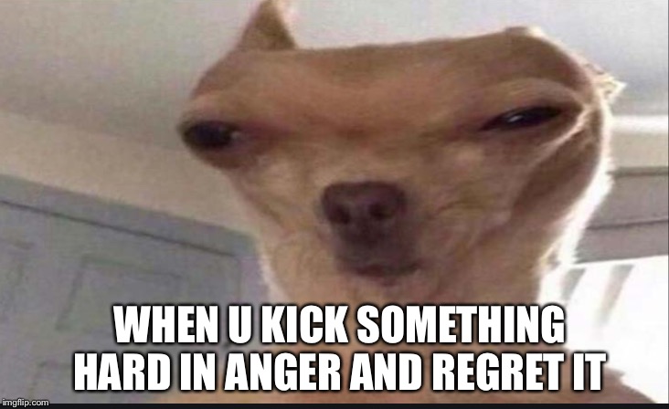 WHEN U KICK SOMETHING HARD IN ANGER AND REGRET IT | image tagged in dogs | made w/ Imgflip meme maker