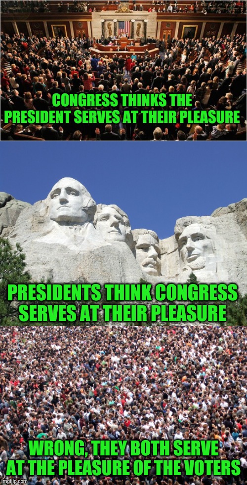 Stop trying to put a leash on the President, Nancy | CONGRESS THINKS THE PRESIDENT SERVES AT THEIR PLEASURE; PRESIDENTS THINK CONGRESS SERVES AT THEIR PLEASURE; WRONG, THEY BOTH SERVE AT THE PLEASURE OF THE VOTERS | image tagged in congress,crowd of people,mount rushmore | made w/ Imgflip meme maker