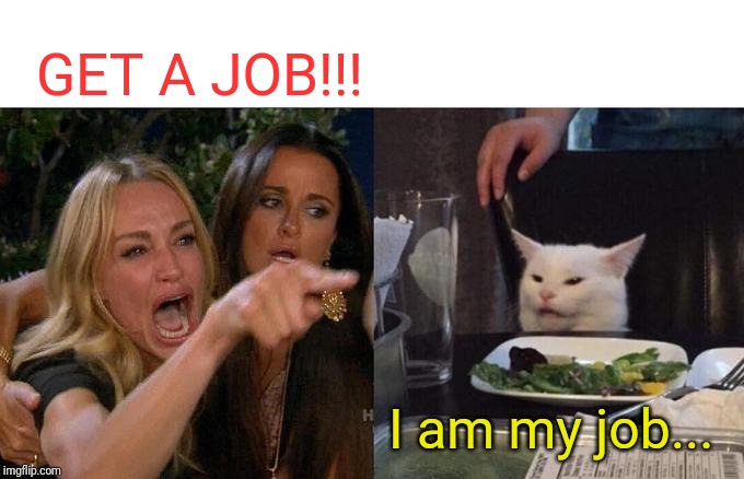 Woman Yelling At Cat Meme | GET A JOB!!! I am my job... | image tagged in memes,woman yelling at cat | made w/ Imgflip meme maker