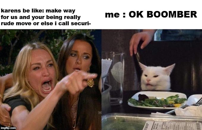 Woman Yelling At Cat | me : OK BOOMBER; karens be like: make way for us and your being really rude move or else i call securi- | image tagged in memes,woman yelling at cat | made w/ Imgflip meme maker