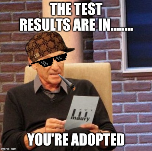 Maury Lie Detector Meme | THE TEST RESULTS ARE IN........ YOU'RE ADOPTED | image tagged in memes,maury lie detector | made w/ Imgflip meme maker