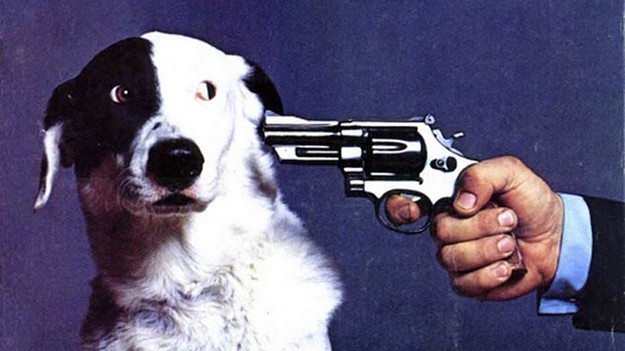 High Quality Buy this magazine or we'll shoot this dog Blank Meme Template