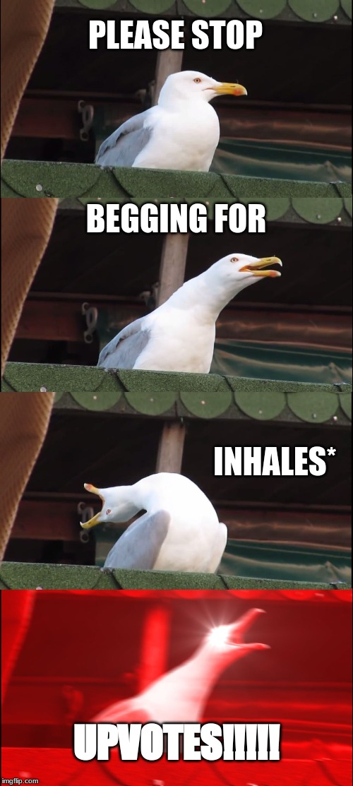 Inhaling Seagull Meme | PLEASE STOP; BEGGING FOR; INHALES*; UPVOTES!!!!! | image tagged in memes,inhaling seagull | made w/ Imgflip meme maker