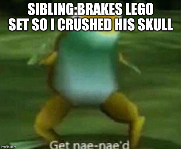 Get nae-nae'd | SIBLING:BRAKES LEGO SET SO I CRUSHED HIS SKULL | image tagged in get nae-nae'd | made w/ Imgflip meme maker