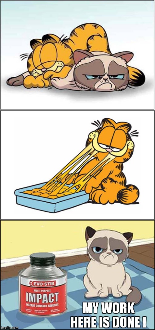 Grumpy Vs Garfield | MY WORK HERE IS DONE ! | image tagged in fun,grumpy cat,garfield,glue | made w/ Imgflip meme maker