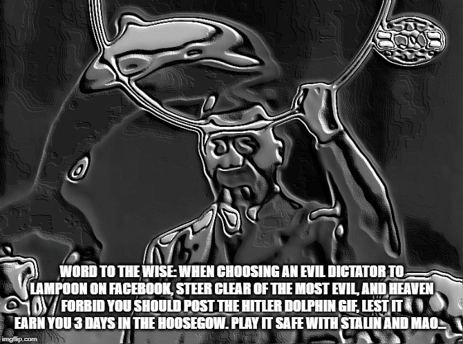 WORD TO THE WISE: WHEN CHOOSING AN EVIL DICTATOR TO LAMPOON ON FACEBOOK, STEER CLEAR OF THE MOST EVIL, AND HEAVEN FORBID YOU SHOULD POST THE HITLER DOLPHIN GIF, LEST IT EARN YOU 3 DAYS IN THE HOOSEGOW. PLAY IT SAFE WITH STALIN AND MAO...  | image tagged in hitler,facebook jail,censorship,sjw,woke | made w/ Imgflip meme maker