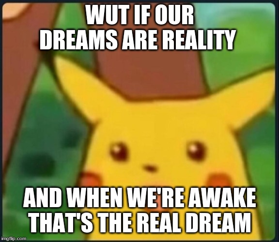 Surprised Pikachu | WUT IF OUR DREAMS ARE REALITY; AND WHEN WE'RE AWAKE THAT'S THE REAL DREAM | image tagged in surprised pikachu | made w/ Imgflip meme maker