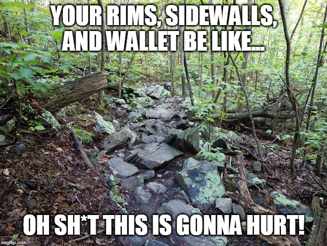 YOUR RIMS, SIDEWALLS, AND WALLET BE LIKE... OH SH*T THIS IS GONNA HURT! | image tagged in atv west virginia offroad,hatfield,four wheeler | made w/ Imgflip meme maker