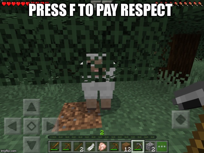 Minecraft press f to pay respects Memes & GIFs - Imgflip