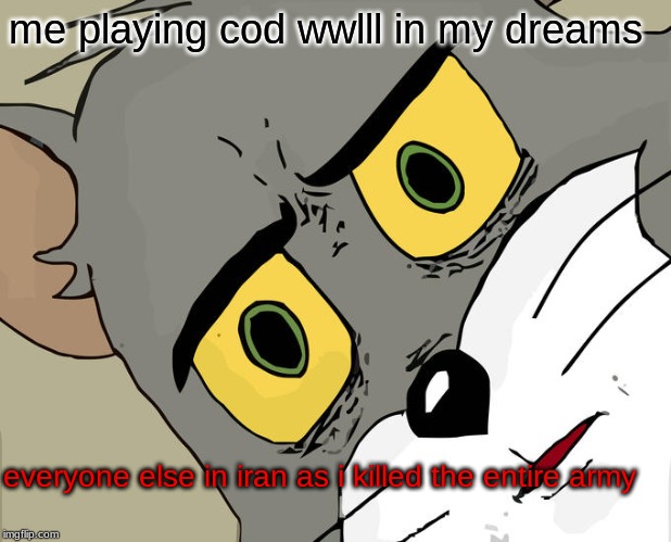 Unsettled Tom | me playing cod wwlll in my dreams; everyone else in iran as i killed the entire army | image tagged in memes,unsettled tom | made w/ Imgflip meme maker