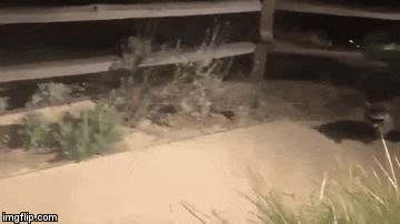 Екснардеп від БПП Грановський поділився досвідом переговорів з оманськими інвесторами: "Угода століття обмежилася безкоштовною кавою і бургерами" - Цензор.НЕТ 1792