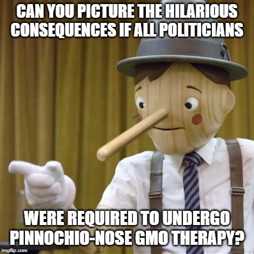 potential pinnochio | CAN YOU PICTURE THE HILARIOUS CONSEQUENCES IF ALL POLITICIANS; WERE REQUIRED TO UNDERGO PINNOCHIO-NOSE GMO THERAPY? | image tagged in potential pinnochio | made w/ Imgflip meme maker