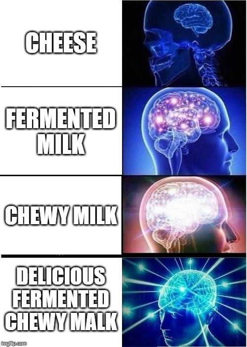 Expanding Brain | CHEESE; FERMENTED MILK; CHEWY MILK; DELICIOUS FERMENTED CHEWY MALK | image tagged in memes,expanding brain | made w/ Imgflip meme maker
