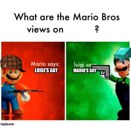 POV Mario | MARIO'S GAY; LUIGI'S GAY | image tagged in pov mario | made w/ Imgflip meme maker
