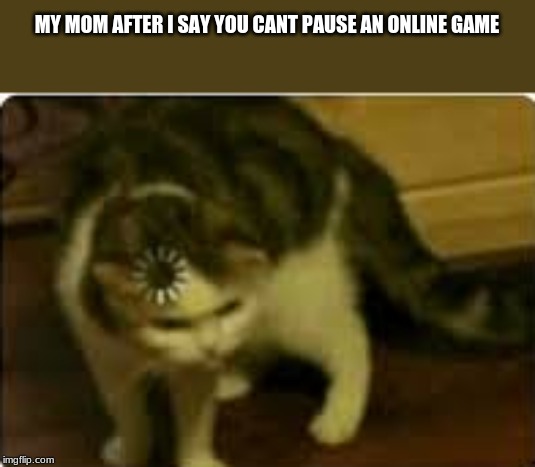 Buffering cat | MY MOM AFTER I SAY YOU CANT PAUSE AN ONLINE GAME | image tagged in buffering cat | made w/ Imgflip meme maker