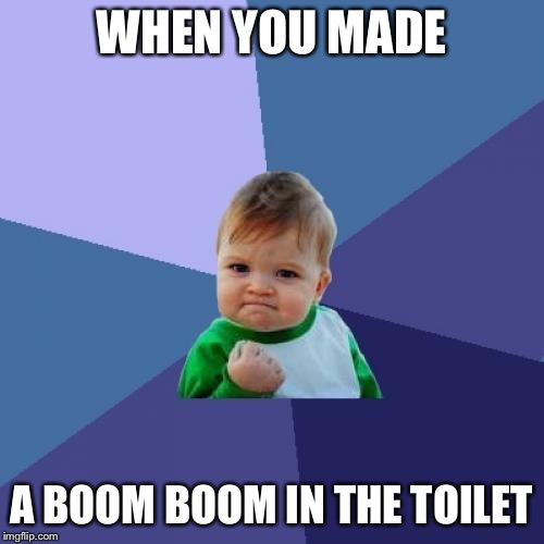 Success Kid Meme | WHEN YOU MADE; A BOOM BOOM IN THE TOILET | image tagged in memes,success kid | made w/ Imgflip meme maker