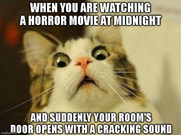 Scared Cat | WHEN YOU ARE WATCHING A HORROR MOVIE AT MIDNIGHT; AND SUDDENLY YOUR ROOM'S DOOR OPENS WITH A CRACKING SOUND | image tagged in memes,scared cat | made w/ Imgflip meme maker