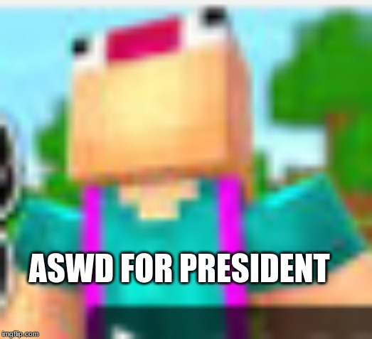 ASWD for president | ASWD FOR PRESIDENT | image tagged in president,memes,minecraft | made w/ Imgflip meme maker