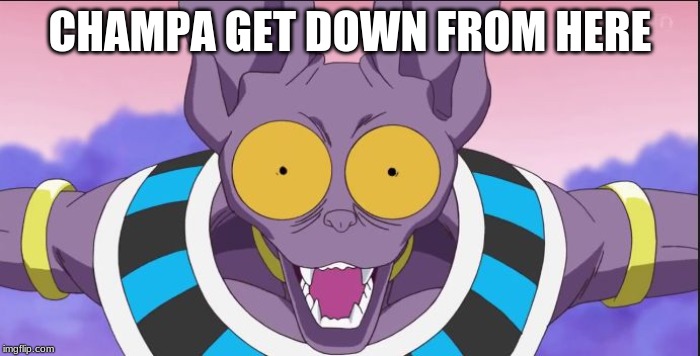 beerus | CHAMPA GET DOWN FROM HERE | image tagged in beerus | made w/ Imgflip meme maker