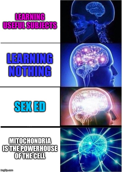 LEARNING USEFUL SUBJECTS LEARNING NOTHING SEX ED MITOCHONDRIA IS THE POWERHOUSE OF THE CELL | image tagged in memes,expanding brain | made w/ Imgflip meme maker