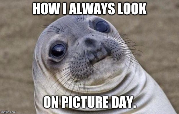 Awkward Moment Sealion | HOW I ALWAYS LOOK; ON PICTURE DAY. | image tagged in memes,awkward moment sealion | made w/ Imgflip meme maker
