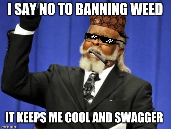 bar to damn high | I SAY NO TO BANNING WEED; IT KEEPS ME COOL AND SWAGGER | image tagged in bar to damn high | made w/ Imgflip meme maker