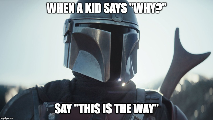 The Mandalorian. | WHEN A KID SAYS "WHY?"; SAY "THIS IS THE WAY" | image tagged in the mandalorian | made w/ Imgflip meme maker