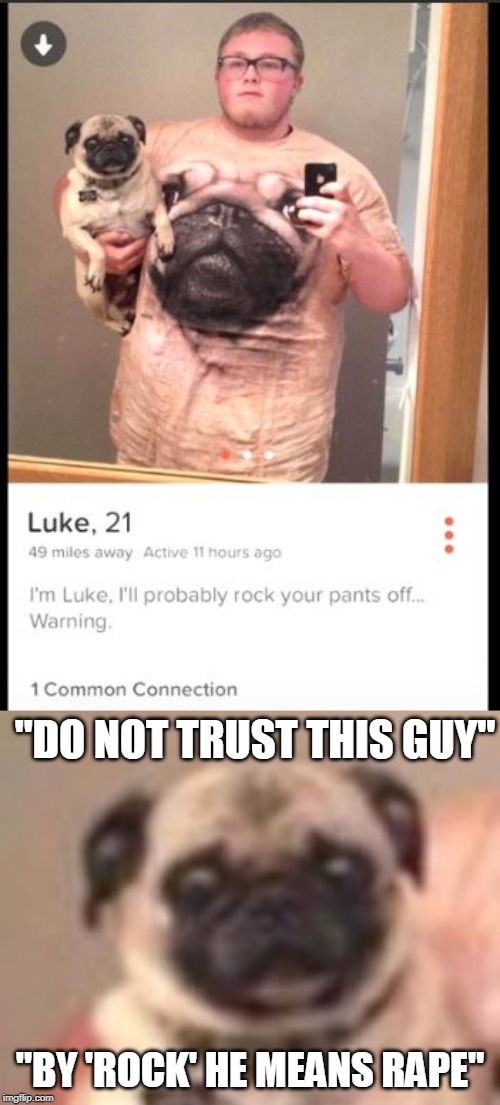 THAT DOG HAS SEEN THINGS | "DO NOT TRUST THIS GUY"; "BY 'ROCK' HE MEANS RAPE" | image tagged in memes,dog,wtf,tinder | made w/ Imgflip meme maker