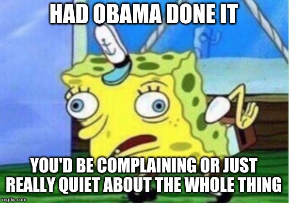 Mocking Spongebob Meme | HAD OBAMA DONE IT YOU'D BE COMPLAINING OR JUST REALLY QUIET ABOUT THE WHOLE THING | image tagged in memes,mocking spongebob | made w/ Imgflip meme maker