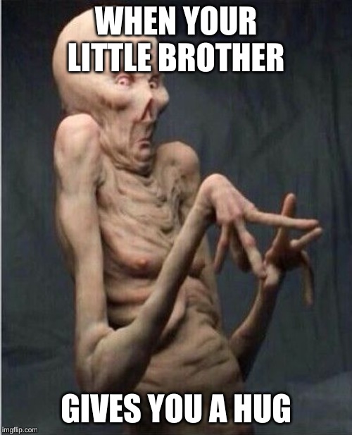 Grossed Out Alien | WHEN YOUR LITTLE BROTHER; GIVES YOU A HUG | image tagged in grossed out alien | made w/ Imgflip meme maker