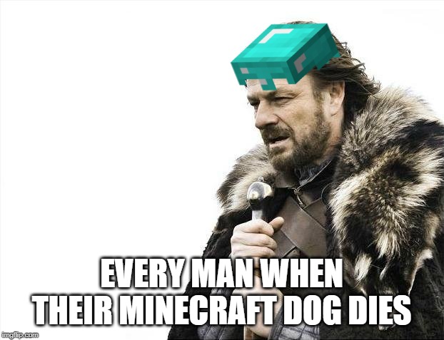 Brace Yourselves X is Coming | EVERY MAN WHEN THEIR MINECRAFT DOG DIES | image tagged in memes,brace yourselves x is coming | made w/ Imgflip meme maker