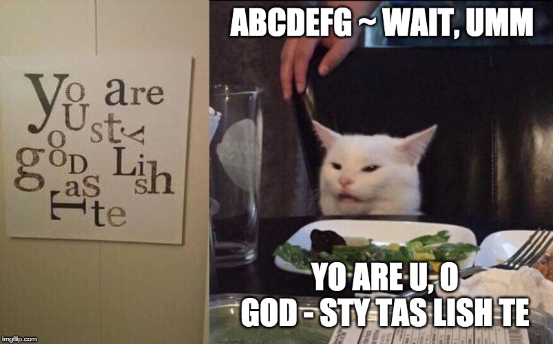 Smudge | ABCDEFG ~ WAIT, UMM; YO ARE U, O GOD - STY TAS LISH TE | image tagged in cat,smudge the cat | made w/ Imgflip meme maker