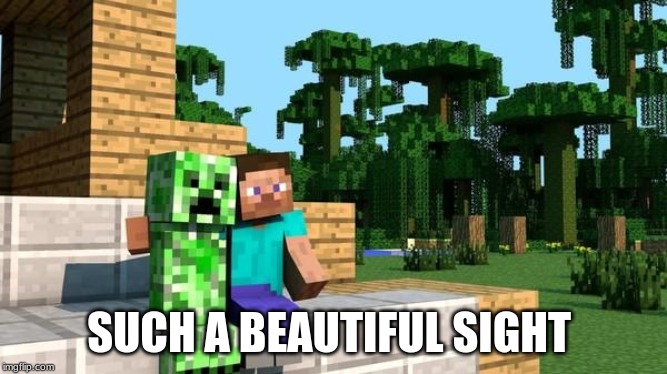 minecraft friendship | SUCH A BEAUTIFUL SIGHT | image tagged in minecraft friendship | made w/ Imgflip meme maker