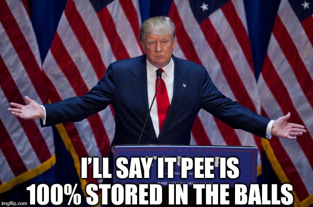 Donald Trump | I’LL SAY IT PEE IS 100% STORED IN THE BALLS | image tagged in donald trump | made w/ Imgflip meme maker
