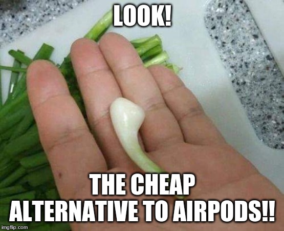 LOOK! THE CHEAP ALTERNATIVE TO AIRPODS!! | image tagged in airpods,cheap | made w/ Imgflip meme maker