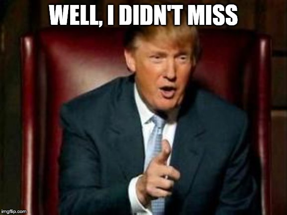 Donald Trump | WELL, I DIDN'T MISS | image tagged in donald trump | made w/ Imgflip meme maker