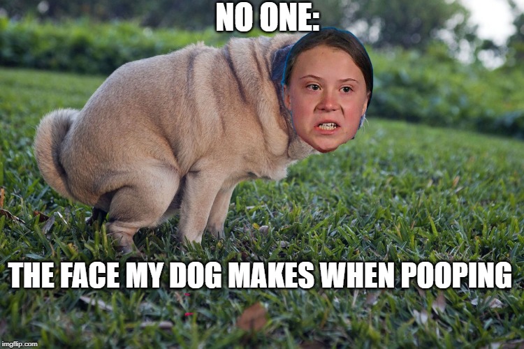 Enjoy! | NO ONE:; THE FACE MY DOG MAKES WHEN POOPING | image tagged in greta thunberg,dog | made w/ Imgflip meme maker