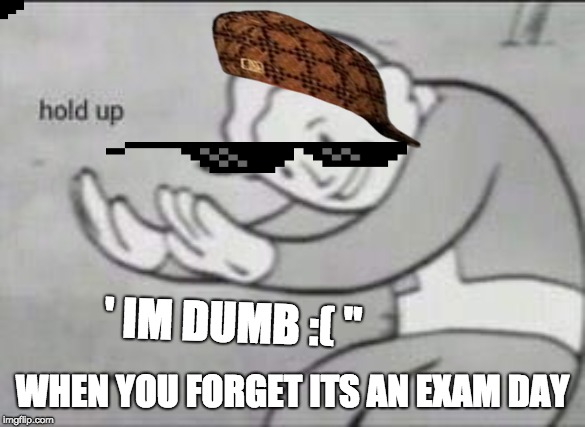 Fallout Hold Up | ' IM DUMB :( "; WHEN YOU FORGET ITS AN EXAM DAY | image tagged in fallout hold up | made w/ Imgflip meme maker