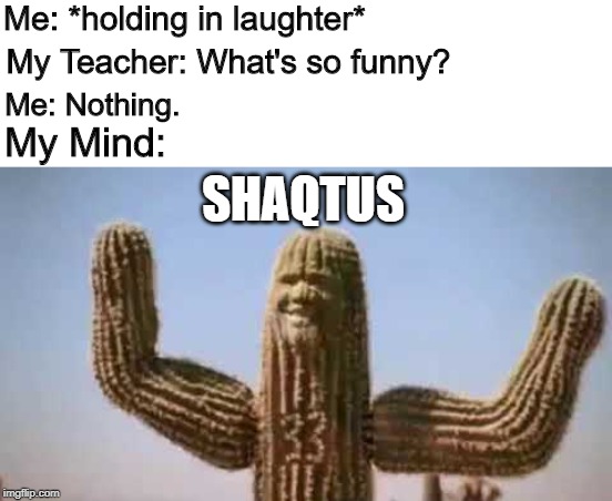shaqtus | Me: *holding in laughter*; My Teacher: What's so funny? Me: Nothing. My Mind:; SHAQTUS | image tagged in shaqtus | made w/ Imgflip meme maker